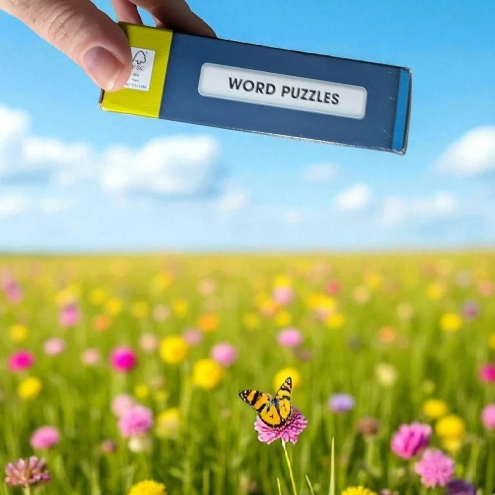 100 PICS Word Puzzles Travel Game - Solve 100 Puzzles Flash Cards with Slide New